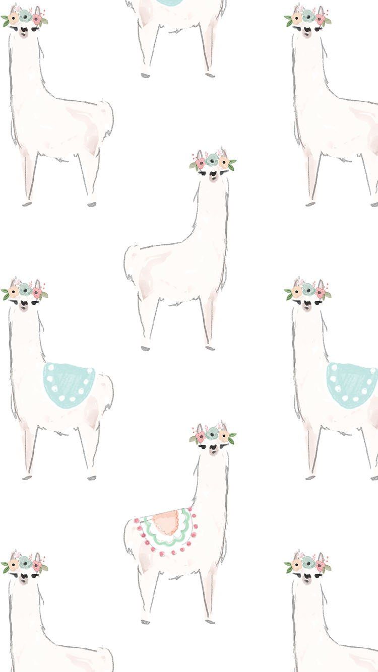Llama Wallpaper FREE Picture