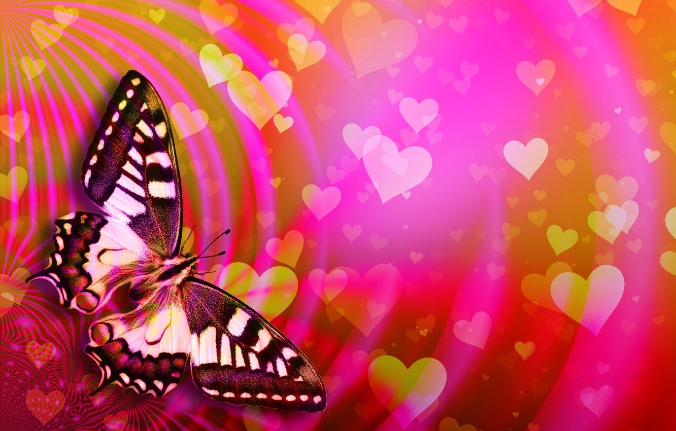 Wallpaper butterfly, hearts, Valentine's Day image for desktop, section праздники
