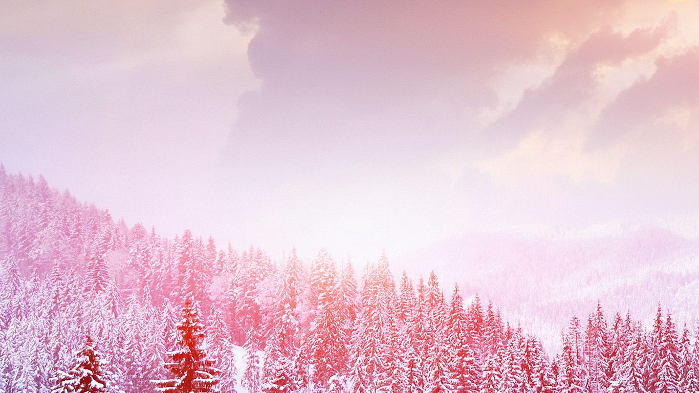 Pink Winter Aesthetic Wallpapers - Wallpaper Cave.
