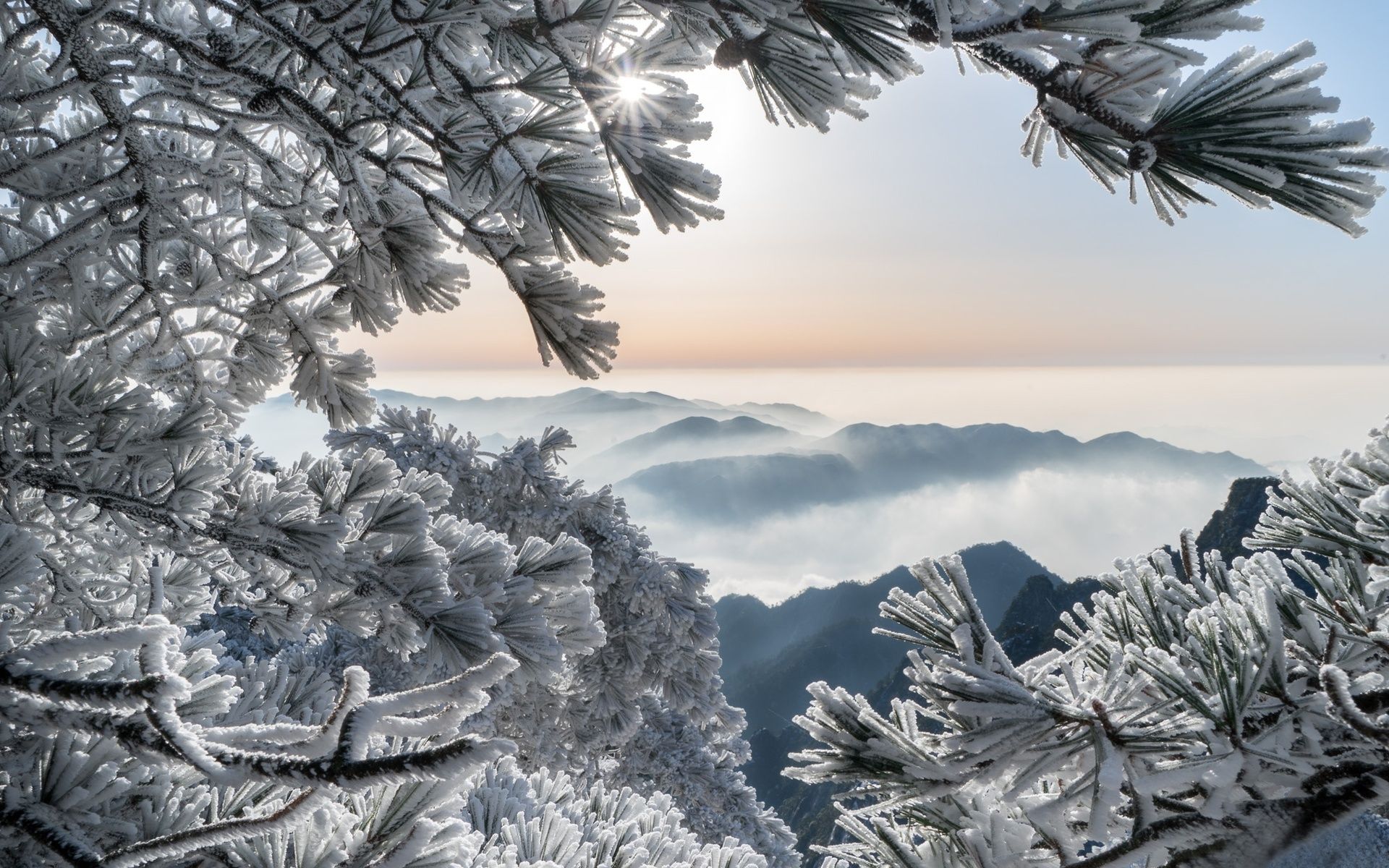 Download wallpaper Huangshan, pines, branches, winter, mountains, China, Asia for desktop with resolution 1920x1200. High Quality HD picture wallpaper