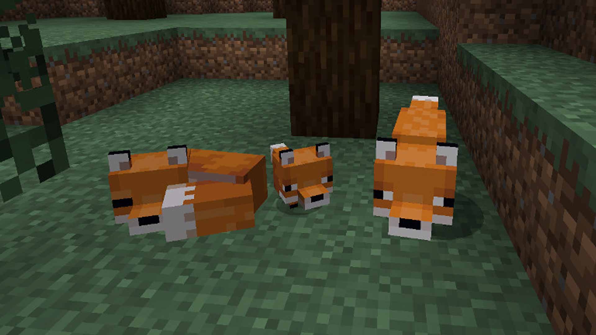 How To Tame A Fox In Minecraft Fox From Minecraft HD Wallpaper