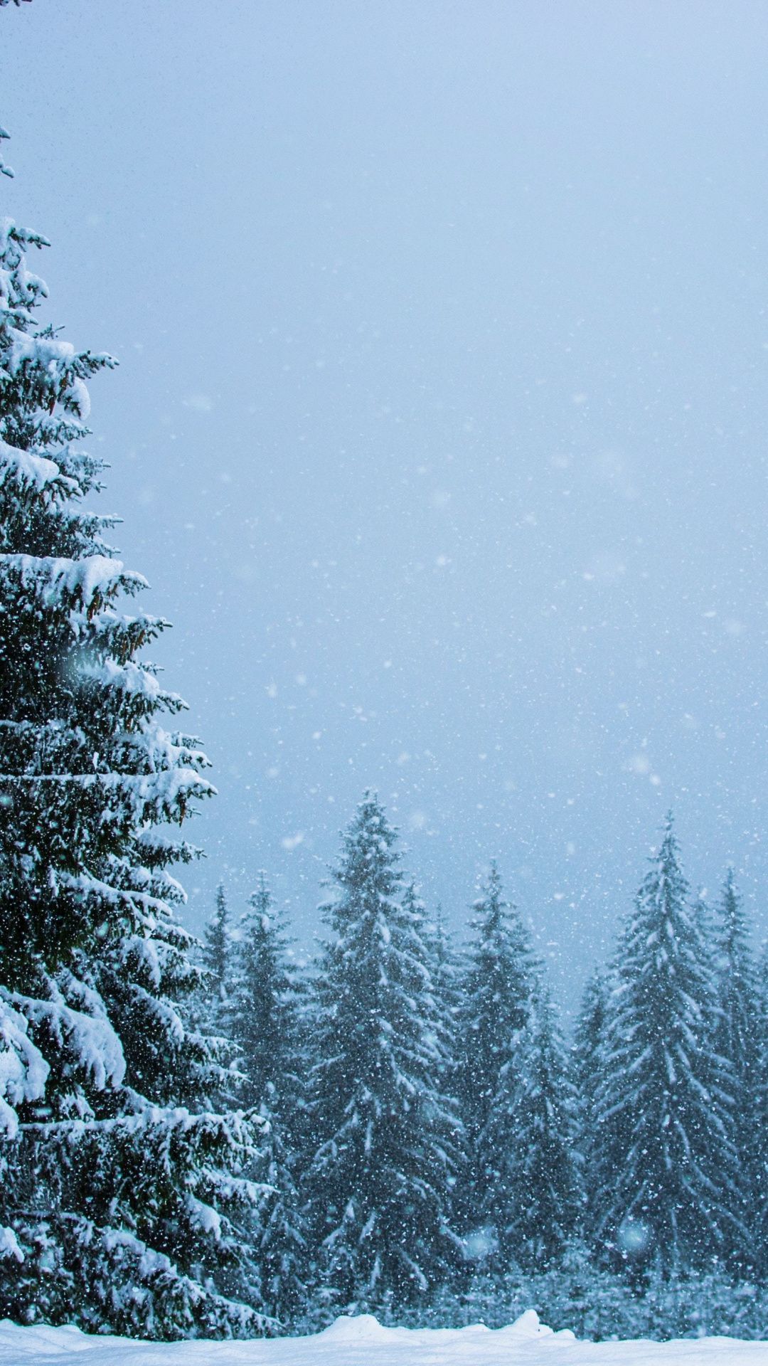 Snowfall, winter, pine trees, nature, 1080x1920 wallpaper. Wallpaper, Mountain wallpaper, Free HD wallpaper
