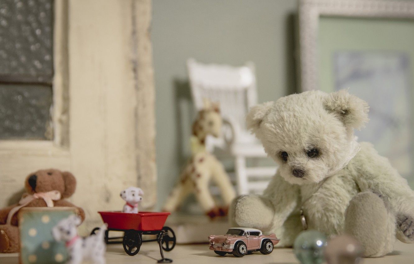 Wallpaper toys, bear, machine, vintage, dogs, Teddy bear image for desktop, section разное