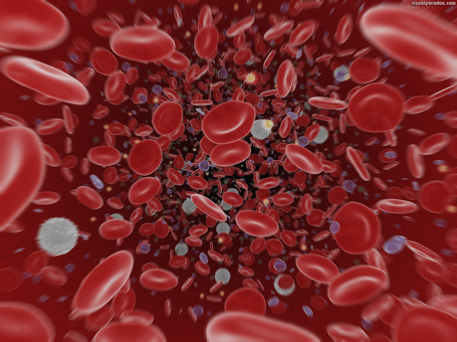 Neuron And Red Blood Cells Wallpaper D .teahub.io