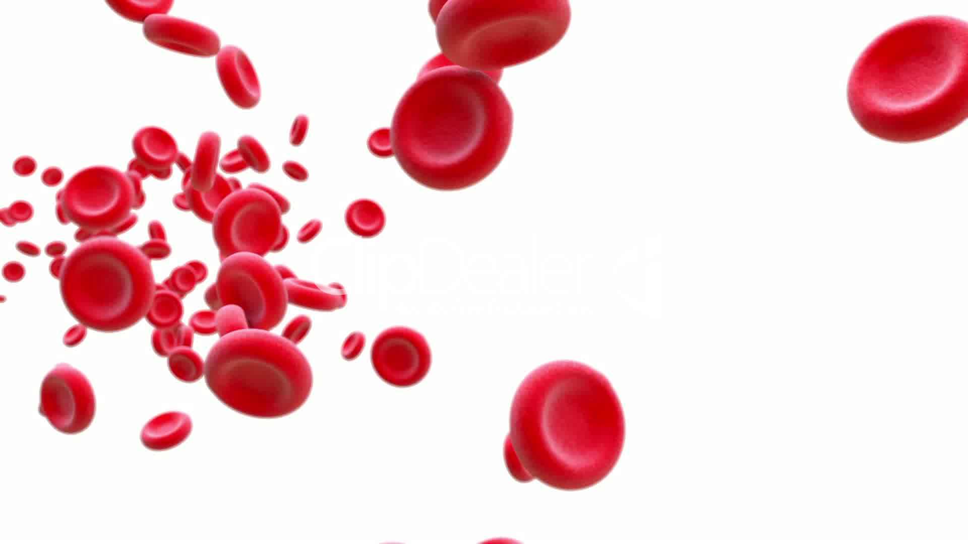 Red Blood Cells Blood Wallpaper 4kwalpaperlist.com