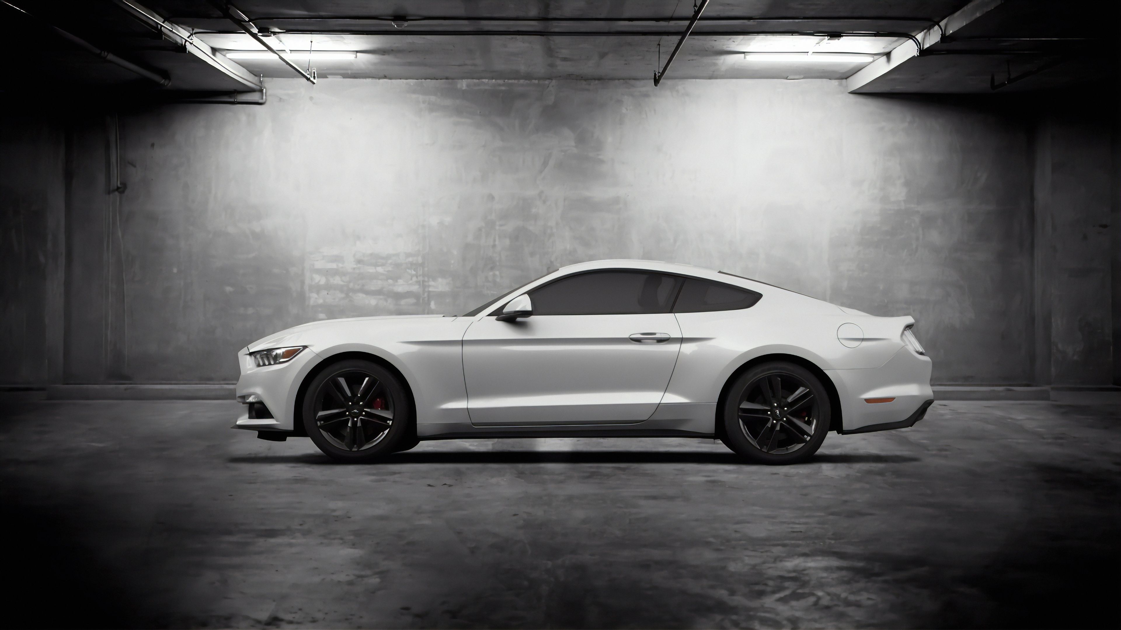 White Mustang Wallpapers Wallpaper Cave