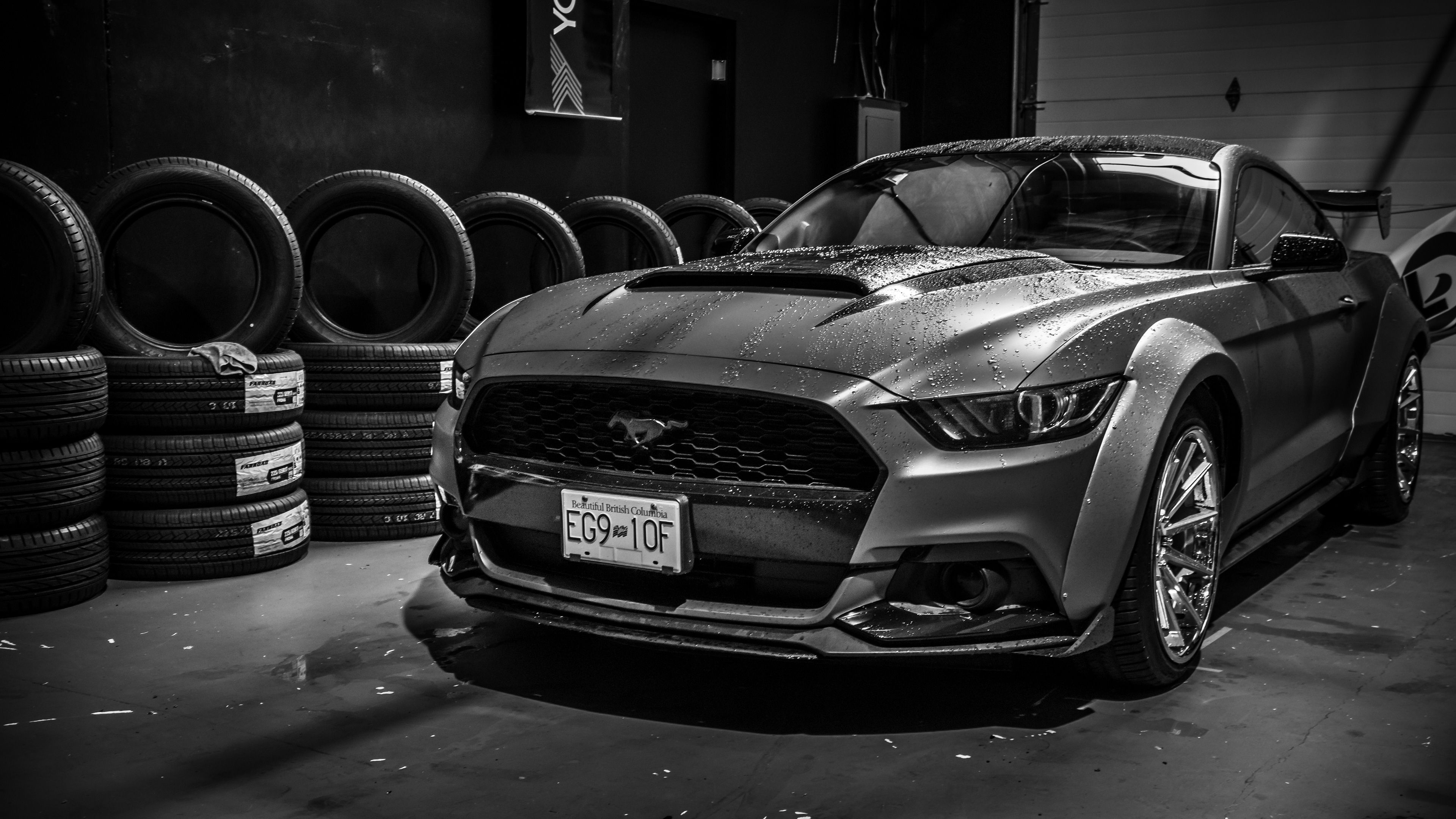Ford Mustang Monochrome 4k Wallpaper, HD Cars Wallpaper, 4k Wallpaper Image, Background, Photos and Picture
