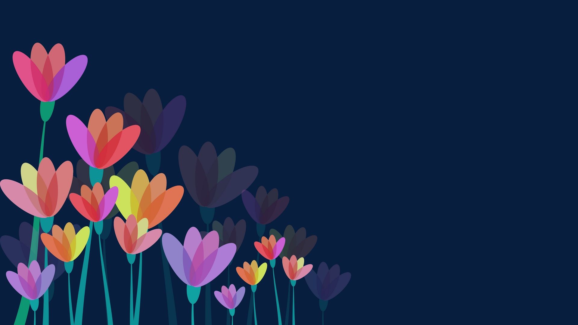 Wallpaper Flowers, Vector, Colorful Vector iPhone Wallpaper & Background Download