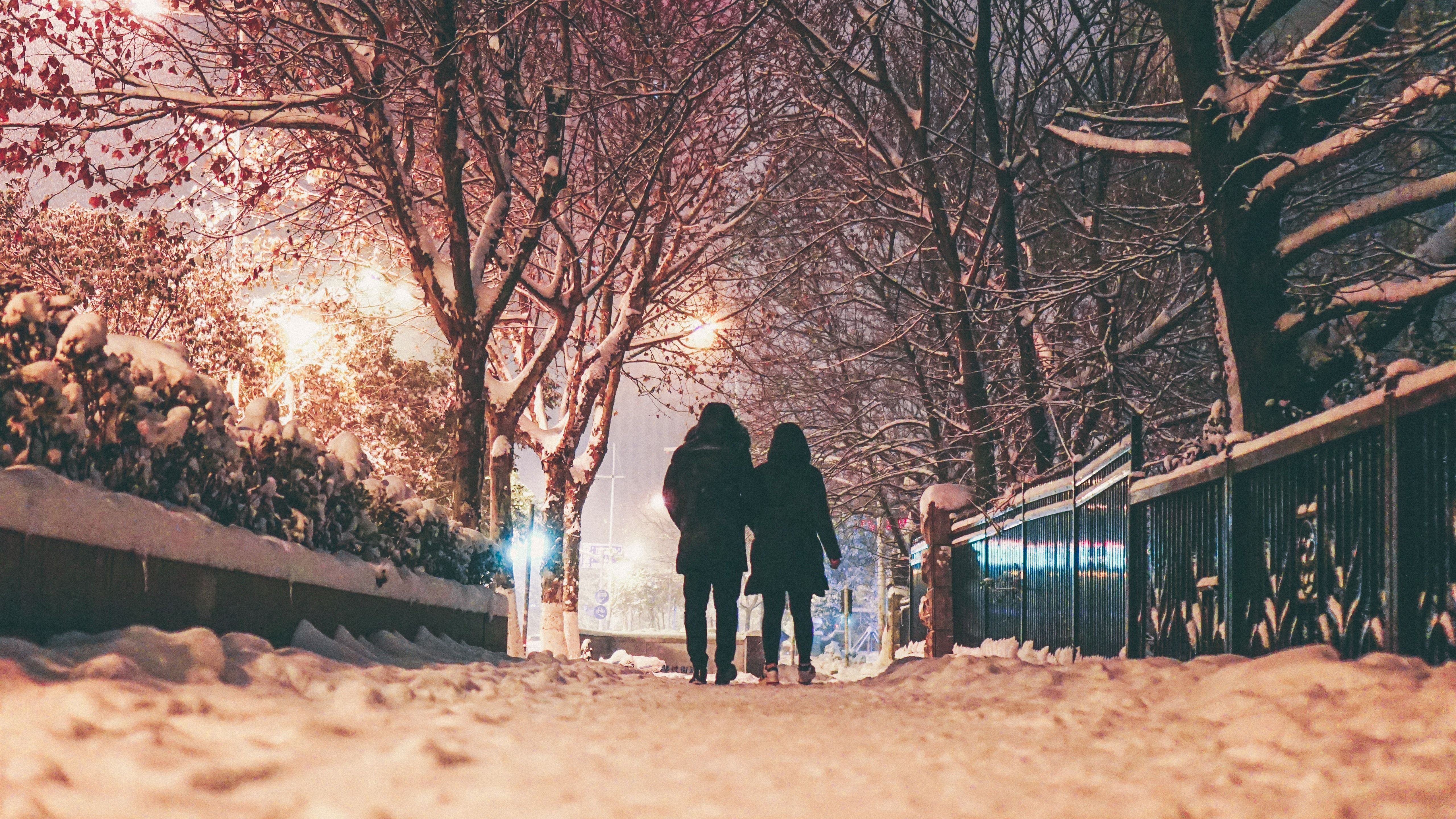 Wallpaper Winter, night, snow, trees, couple, rear view, lights, city 5120x2880 UHD 5K Picture, Image