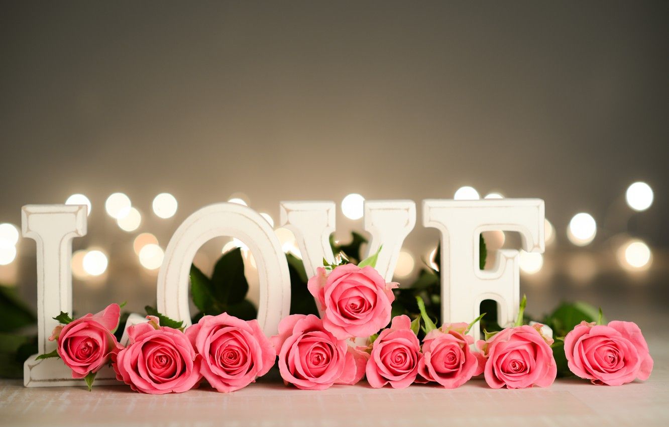 Wallpaper love, flowers, roses, petals .goodfon.com