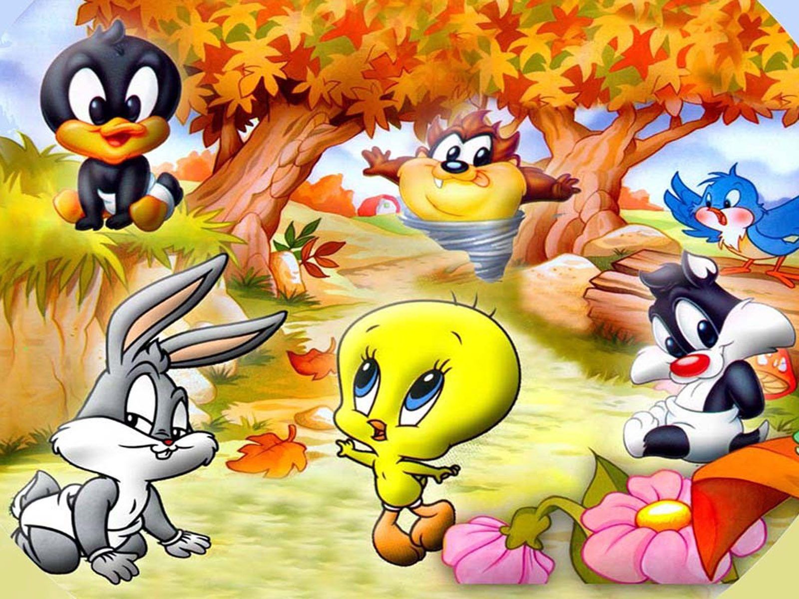 Characters Looney Tunes Baby Tweety Daffy Duck Bugs Bunny Sylvester The Cat And Tasmanian Devil Full HD Wallpaper 1920x1200, Wallpaper13.com