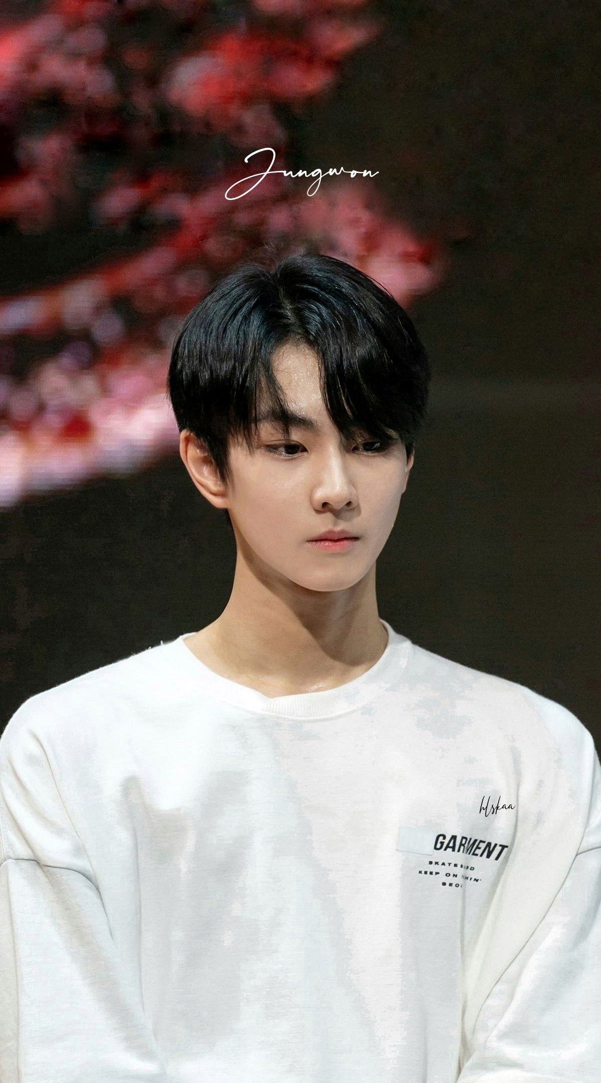 I LAND Jungwon. Orang, Gambar, Ilustrasi Alam