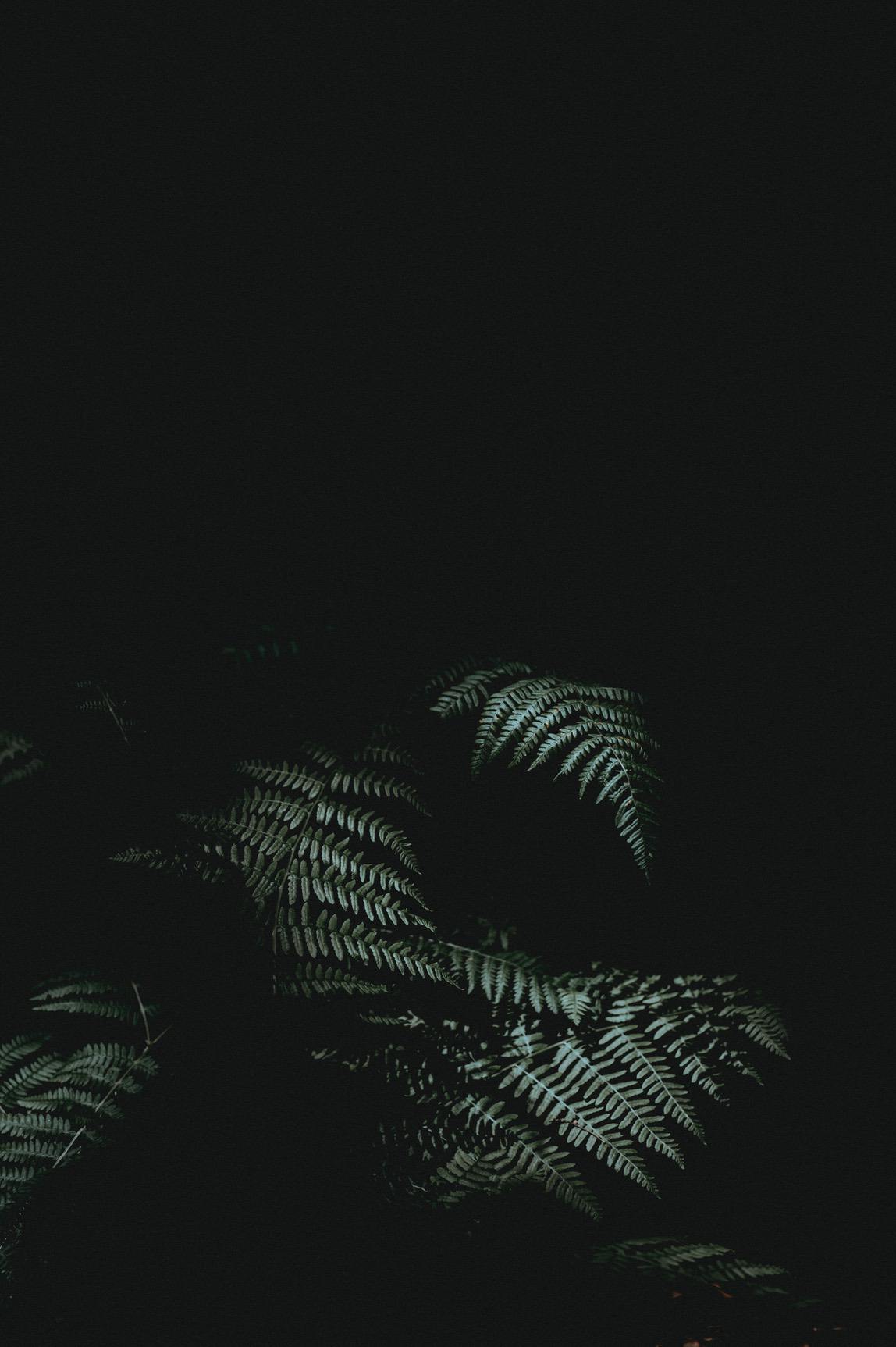 Dark And Cute Wallpapers Wallpaper Cave
