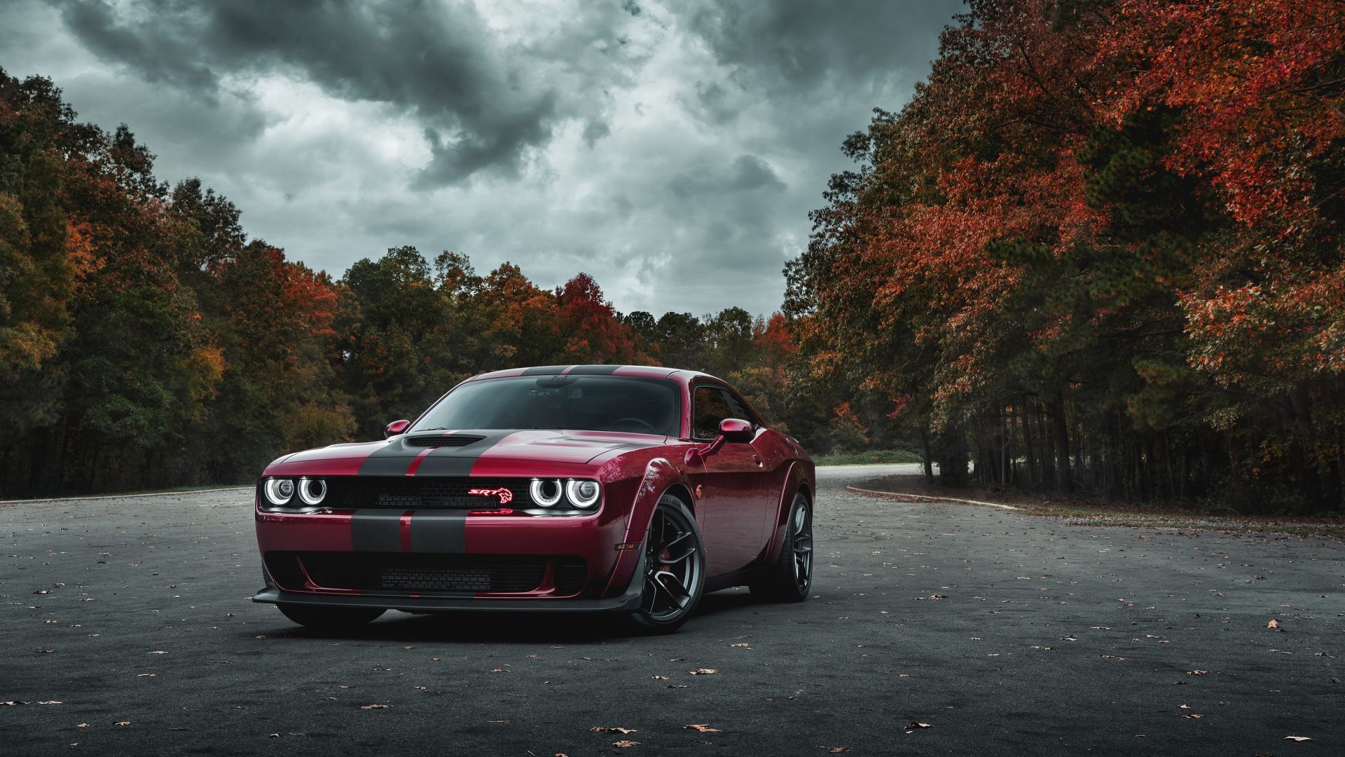 Desktop Wallpaper Dodge Challenger Srt Hellcat, Muscle Car, Blood Red Car, HD Image, Picture, Background, 77a3c0