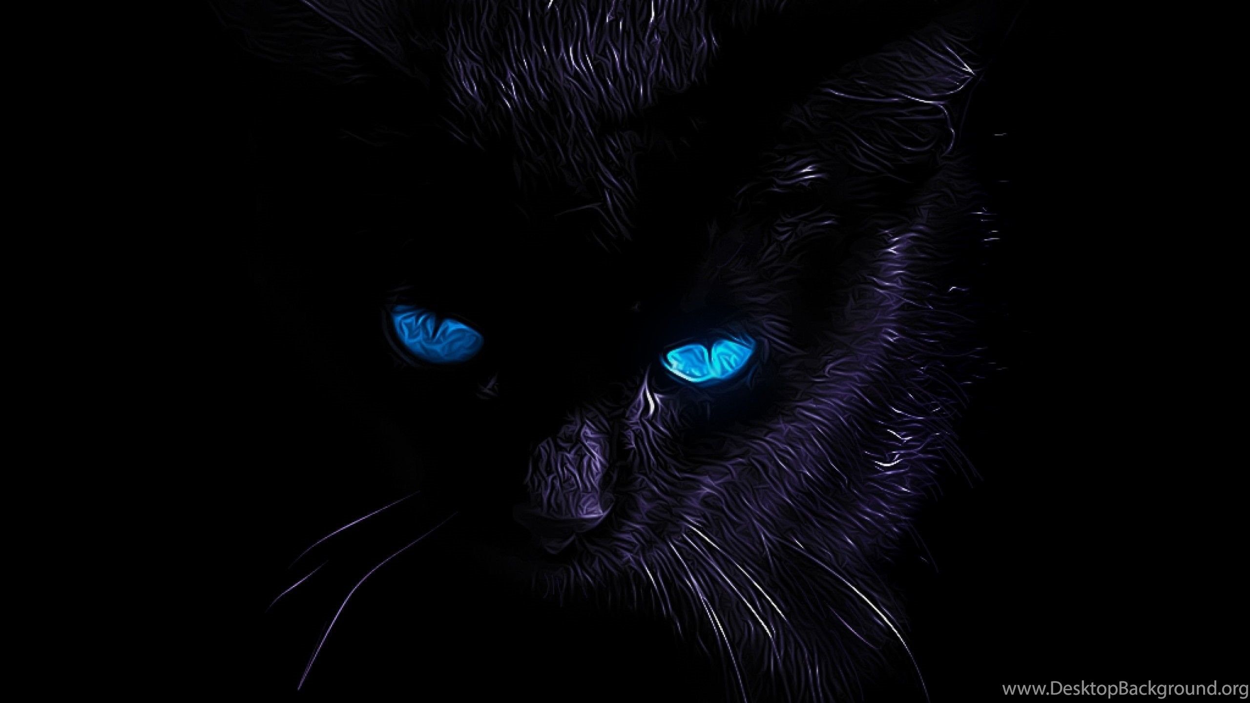 Zendha: Black Cat Wallpaper 4k