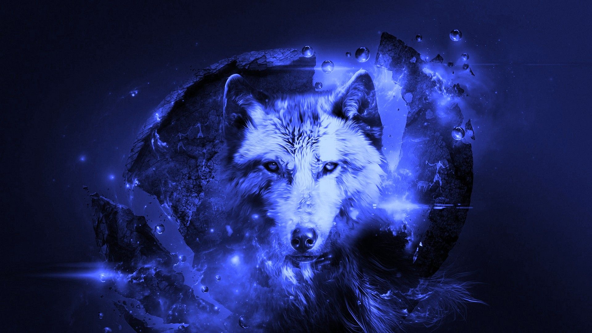 Best Cool Wolf Wallpapers Hd With High ...wallpapertip.