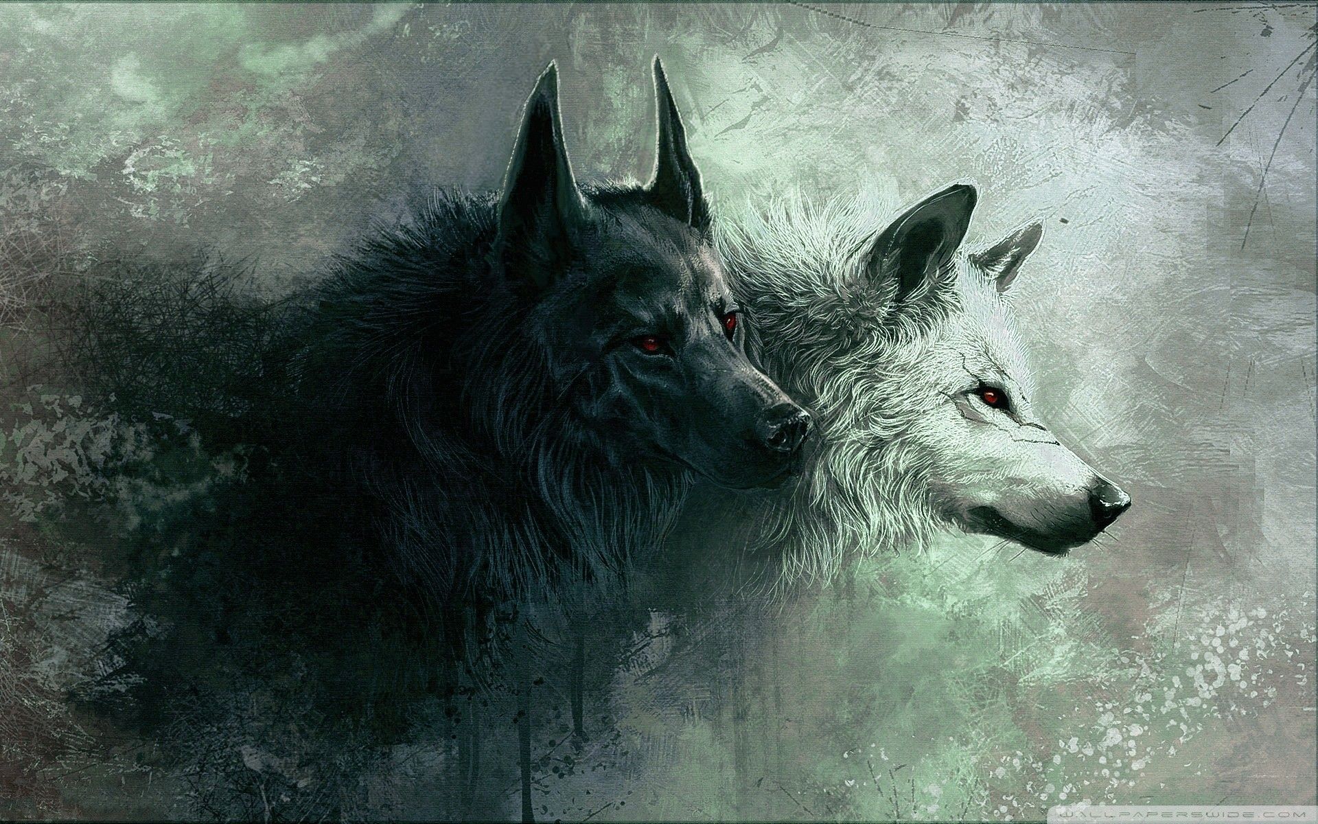 HD Wolf Wallpaper background picture