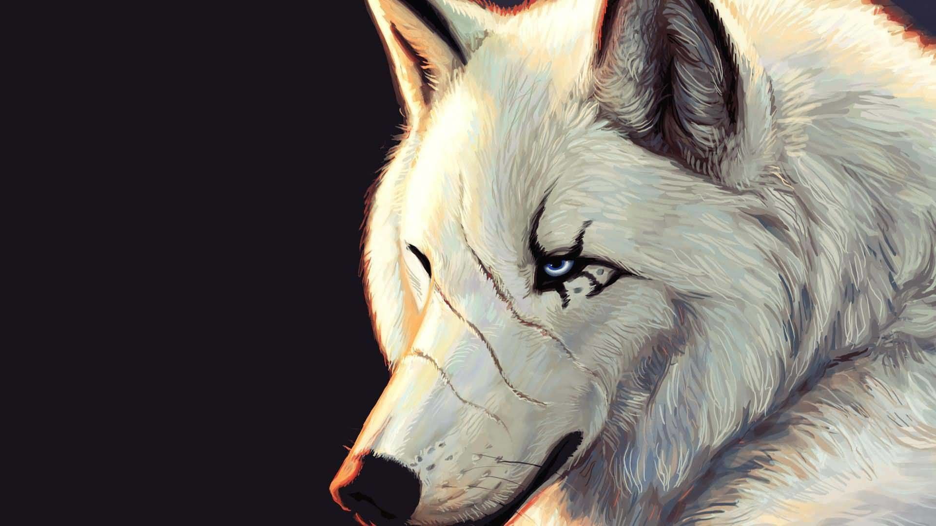 White Wolf Wallpaper Phone Is Cool Wallpaper Wolf Wallpaper HD Wallpaper & Background Download