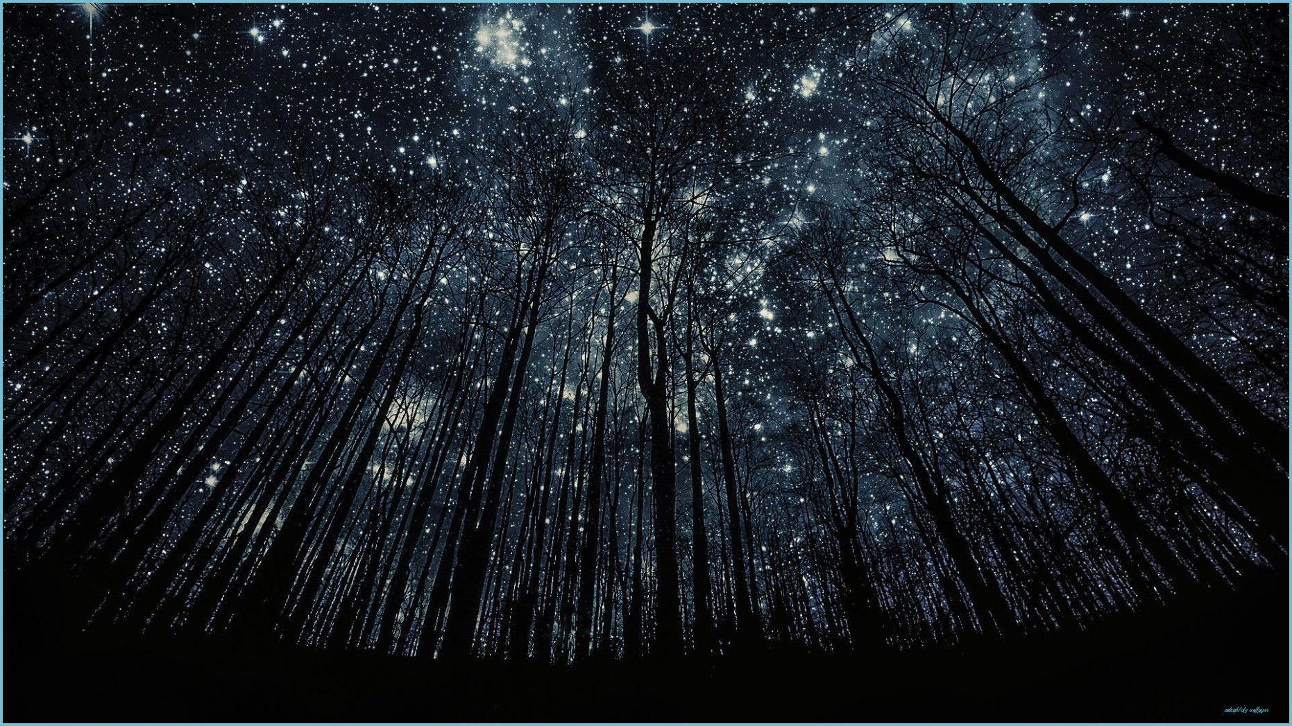Starry Night Sky Wallpaper Photo For Deskx10 px 10