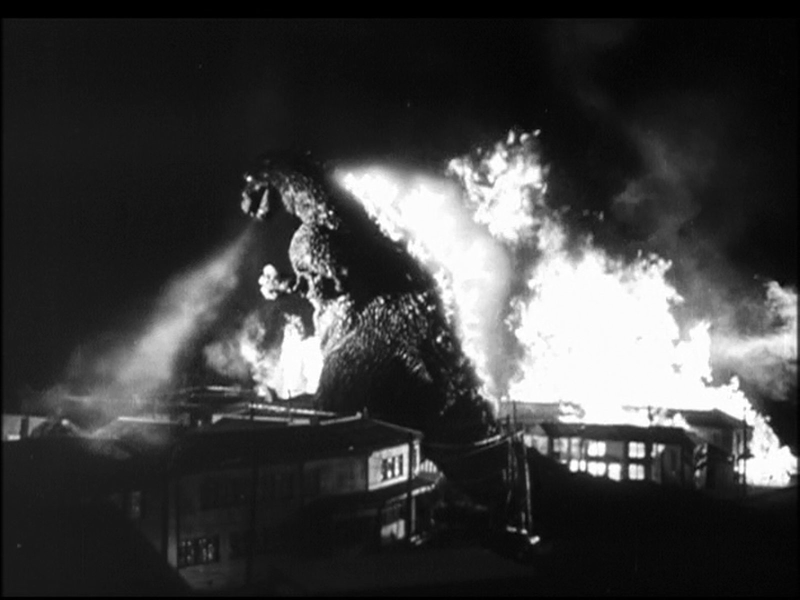 The Godzilla Cycle: 初代ゴジラ • Godzilla 1954