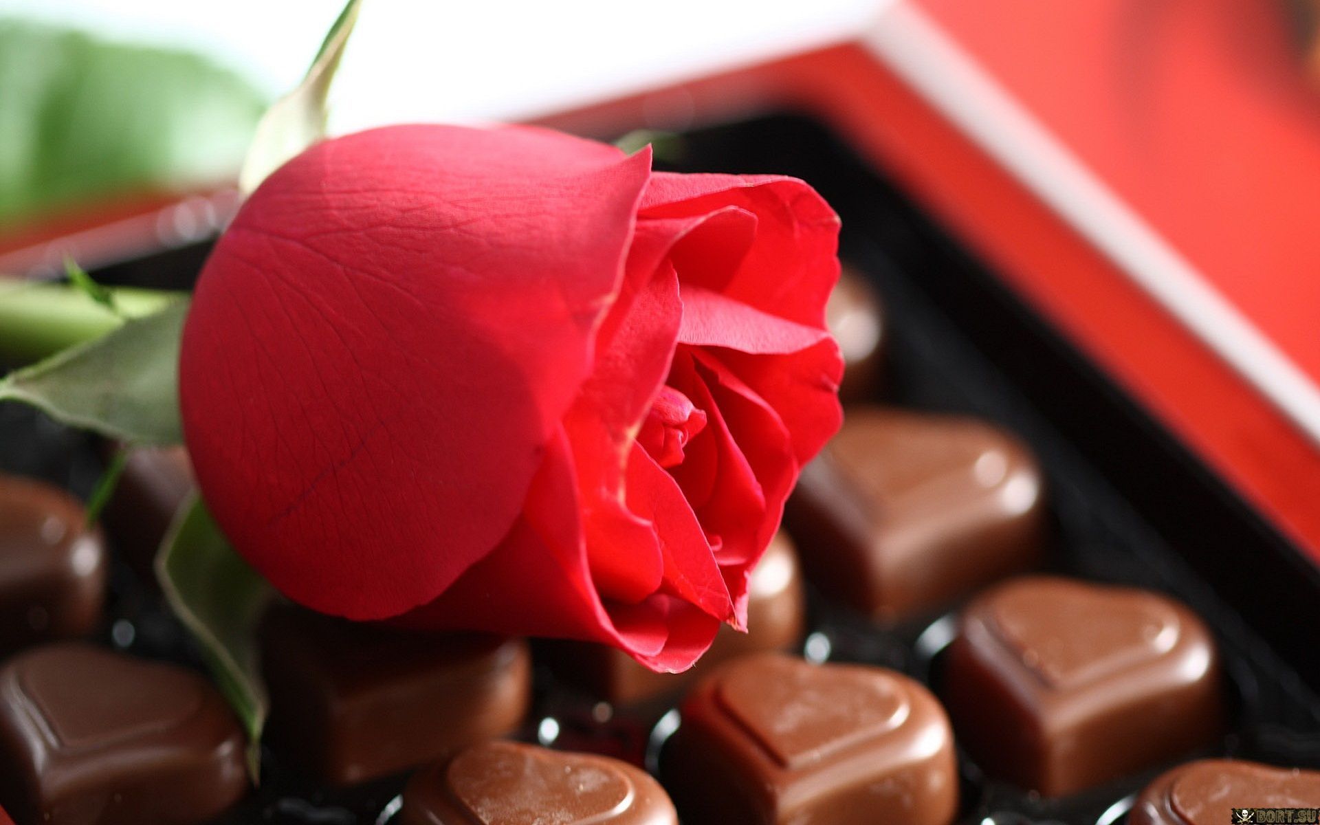 Rose Chocolate Valentines Day Wallpaper Desktop Day Dp For Whatsapp