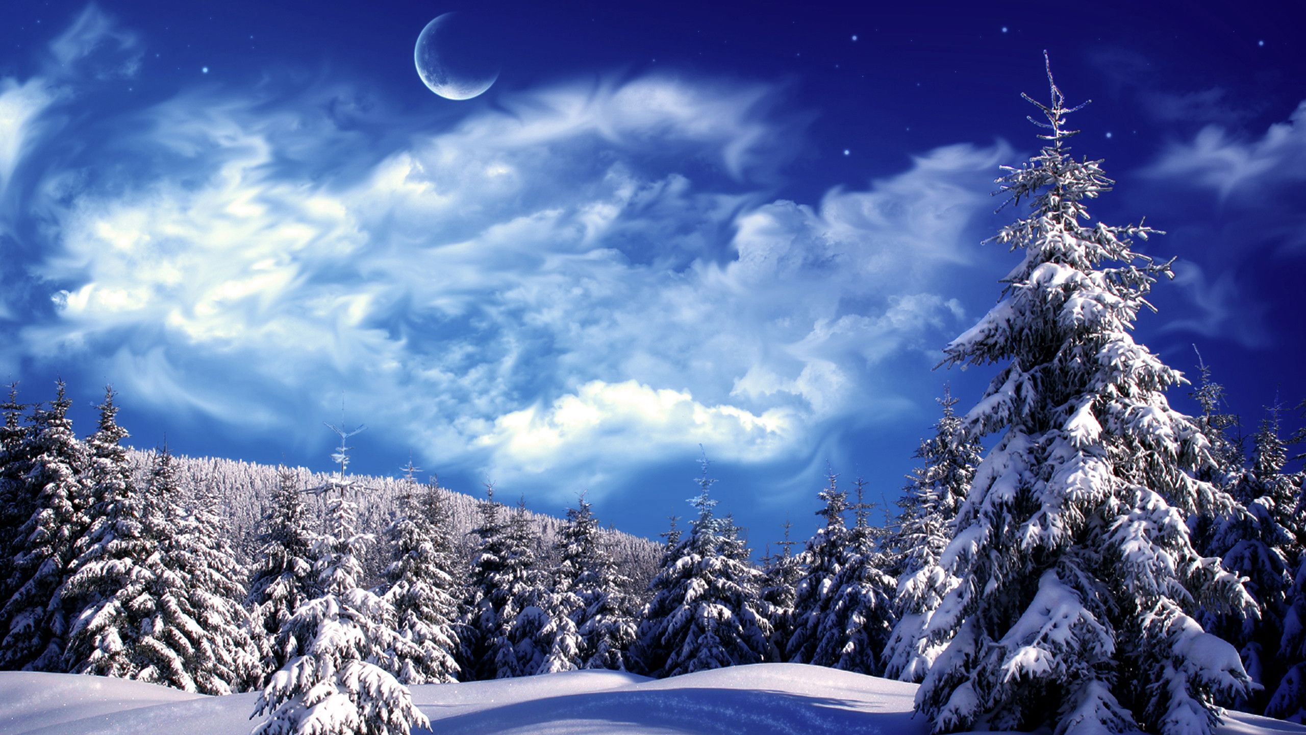 Christmas Winter Scenes, iPhone, Desktop HD Background / Wallpaper (1080p, 4k) (2560x1440) (2021)