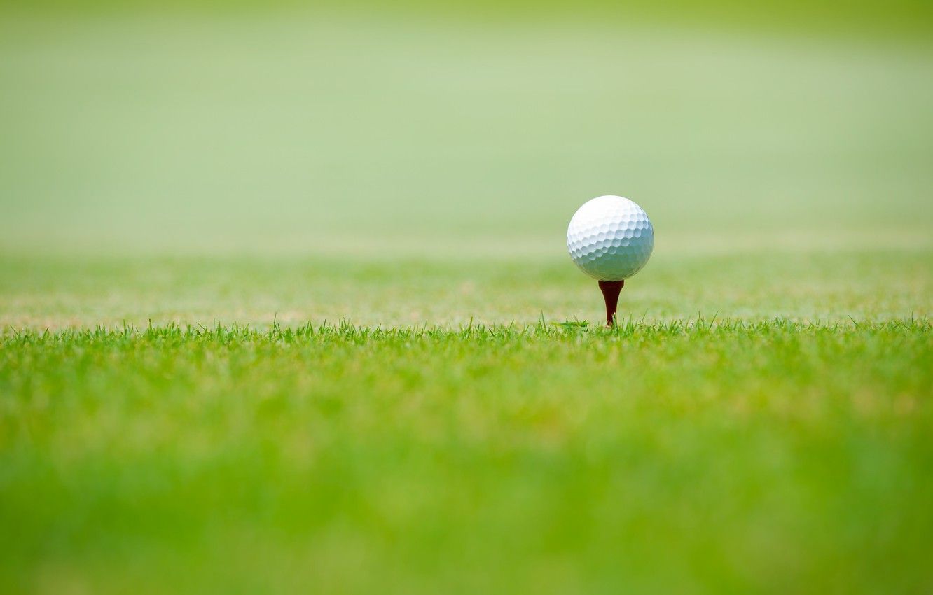 Wallpaper sport, green grass, Golf ball image for desktop, section спорт