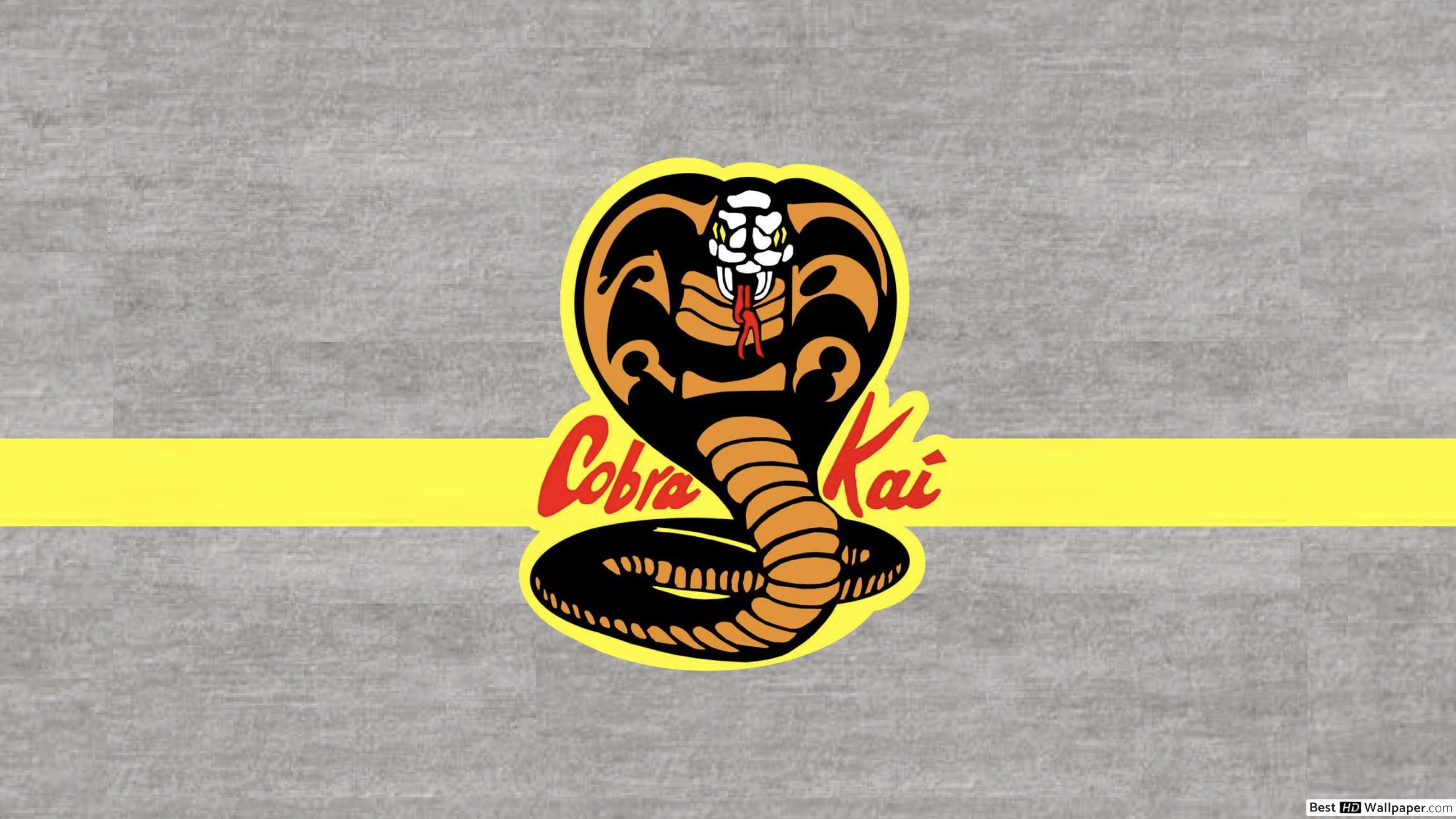 Cobra Kai Stone Backgrounds HD wallpapers download