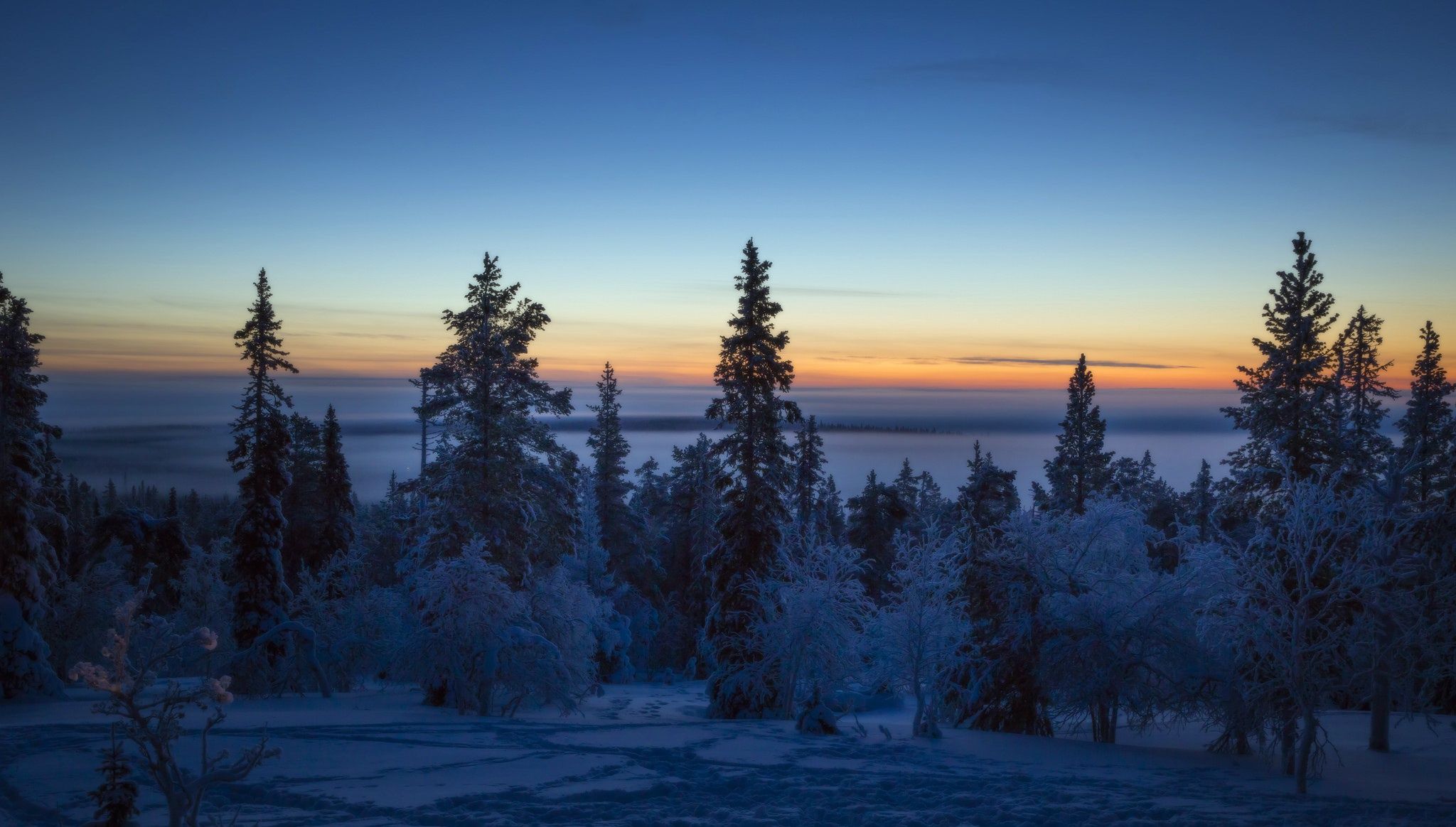 dark, Winter, Sky, Nature, Landscape, Trees Wallpaper HD / Desktop and Mobile Background