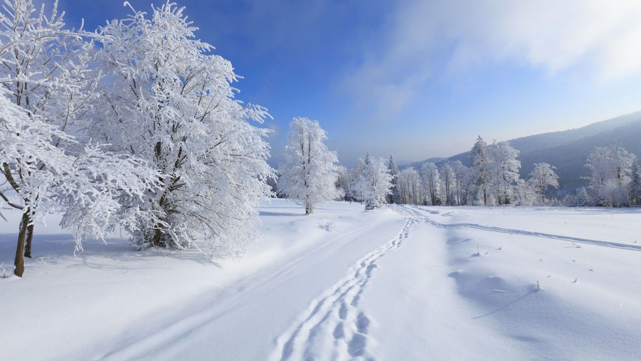 Traces on fresh snow wallpaper and image, picture, photo