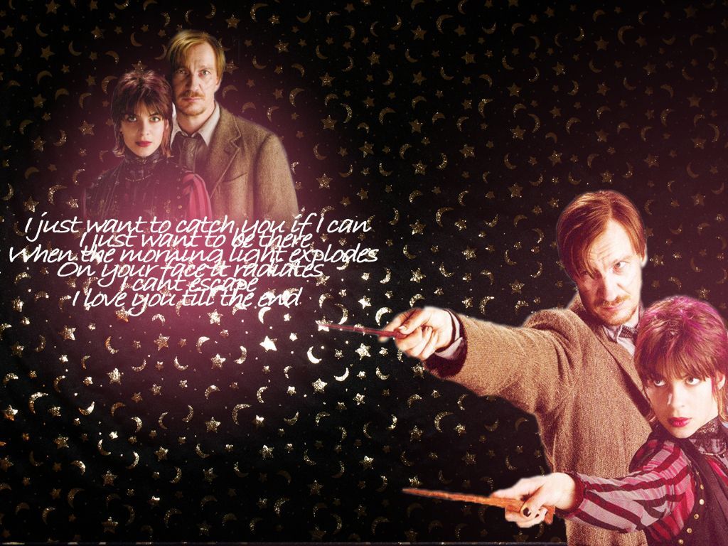 Tonks & Lupin Wallpaper: Tonks and Lupin. Tonks and lupin, Harry potter fantastic beasts, Harry potter