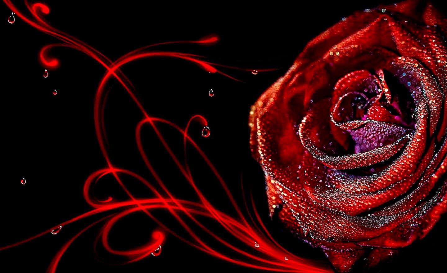 3D Rose Flower Wallpaper. Wallpaper Background Gallery