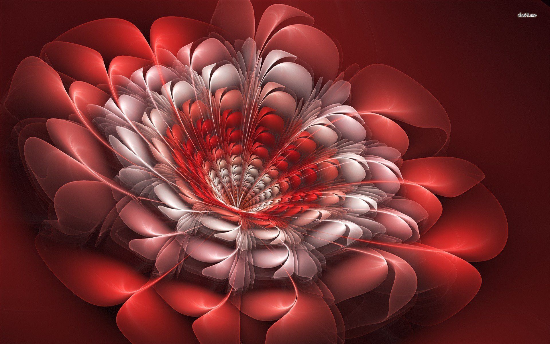 3D Flower Wallpaper