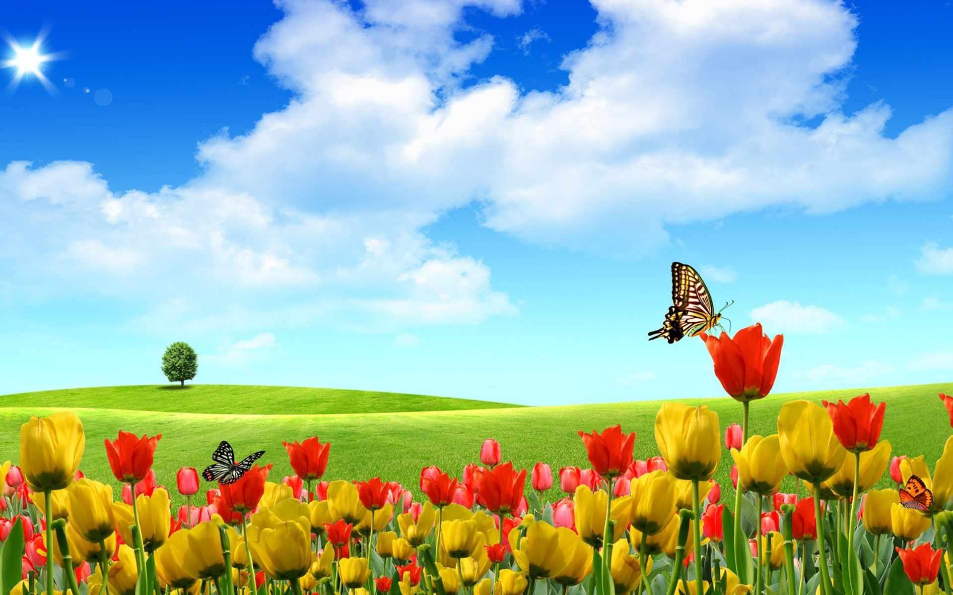 Nature Hd Wallpaper Nature Flowers 3D Landscape Flowers