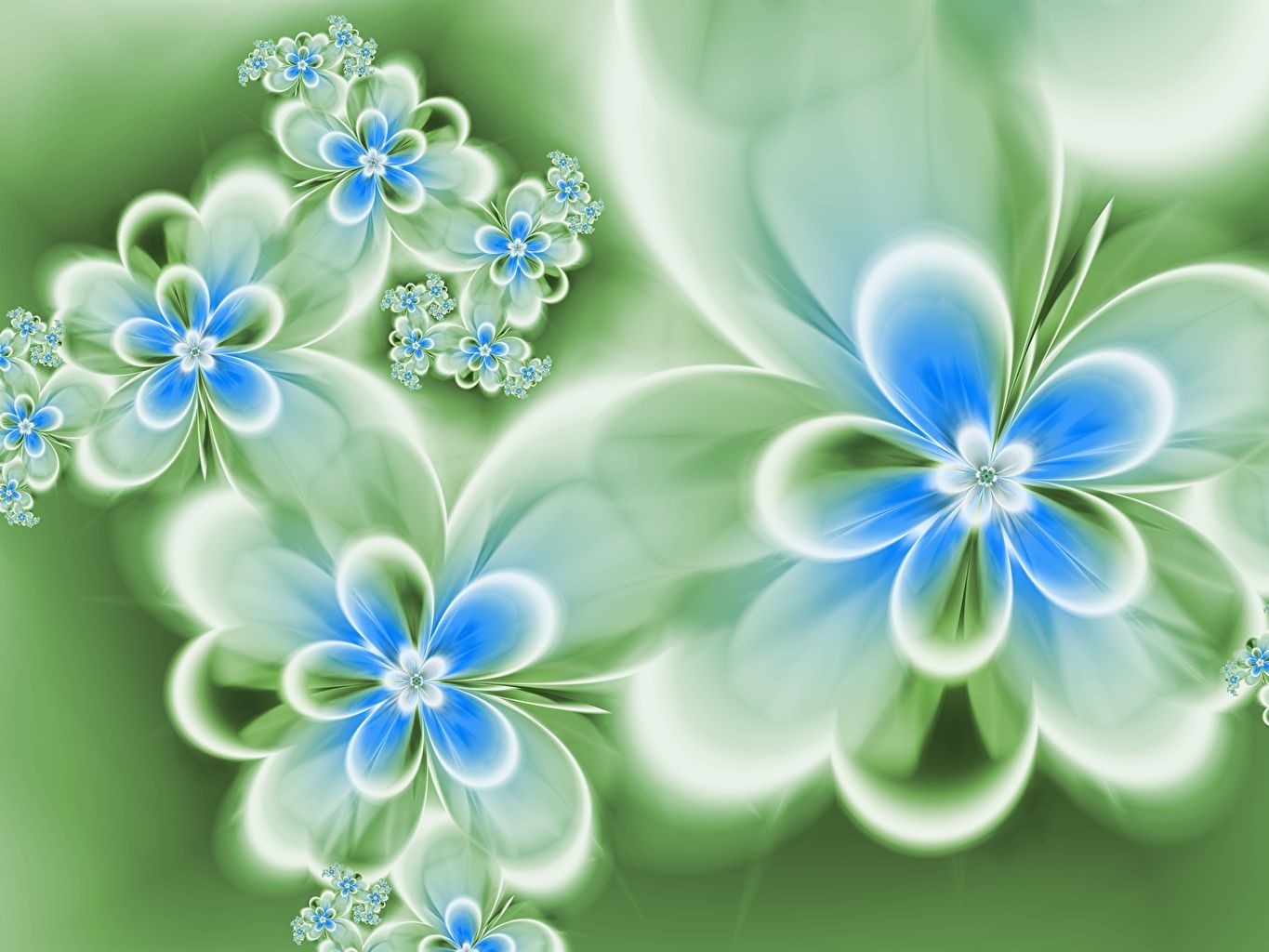 Picture 3D Graphics Flowers
