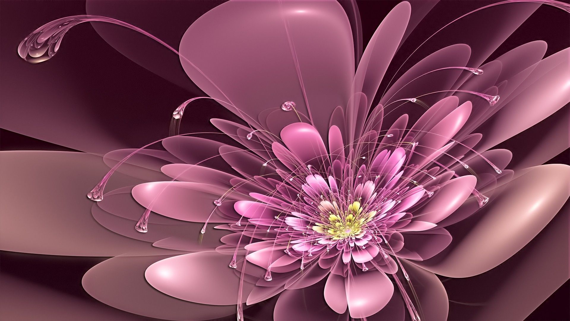 Flower 3d Wallpapers Wallpaper Cave