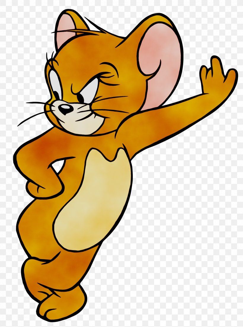 Tom Cat Jerry Mouse Nibbles Tom And Jerry Desktop Wallpaper PNG