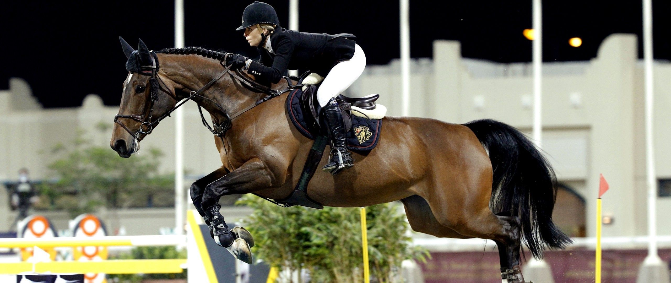 Equitation, Jumping, Horse, Horse Riding Wallpaper Jumping Wallpaper HD Wallpaper & Background Download