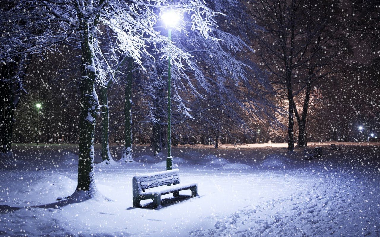 Free download Amazing Winter Night Frozen Tree in Winter HD Wallpaper [1280x800] for your Desktop, Mobile & Tablet. Explore Winter Wallpaper Photo. Free Winter Snow Scenes Wallpaper, Free Winter