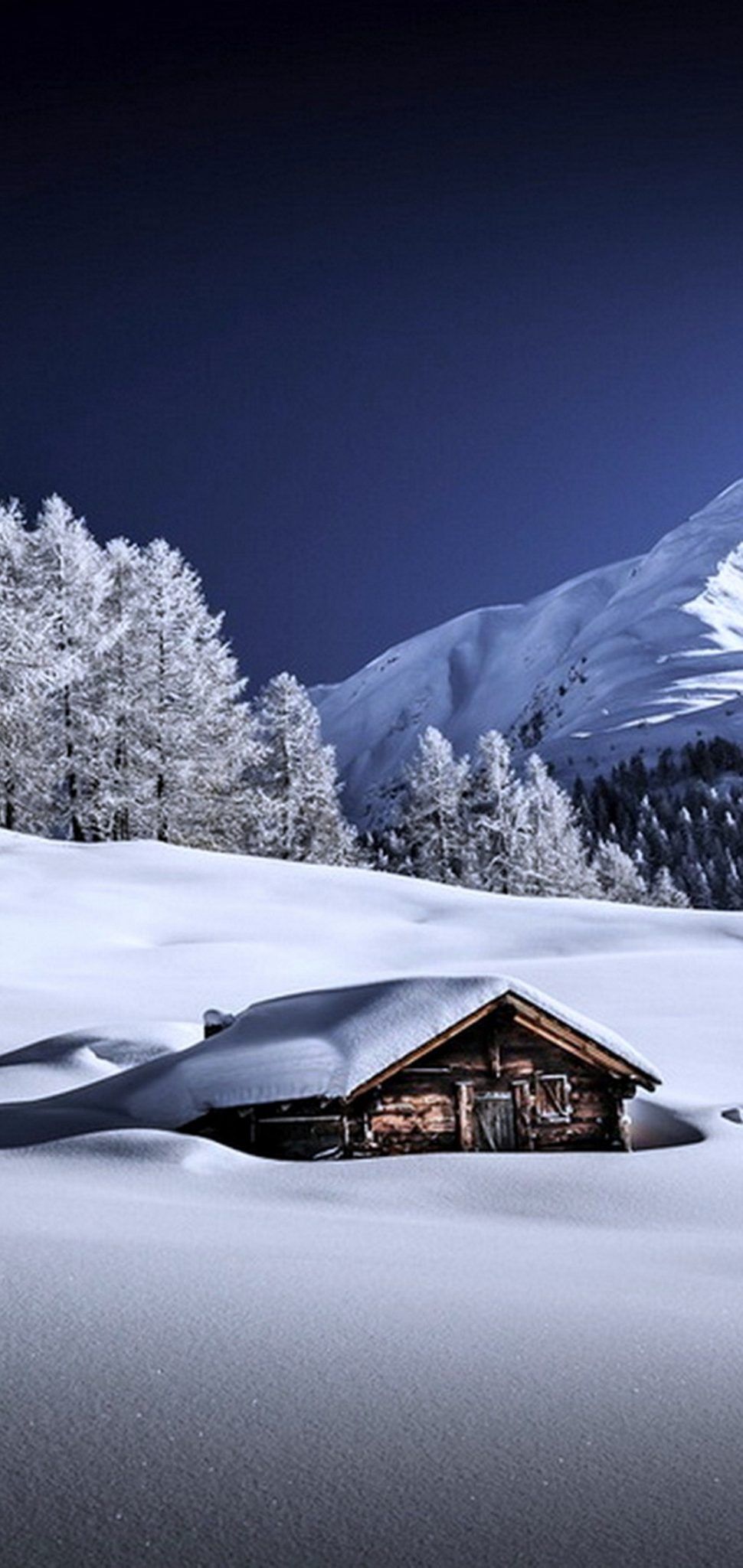 HD Frozen Winter 1080x2280 Wallpaper
