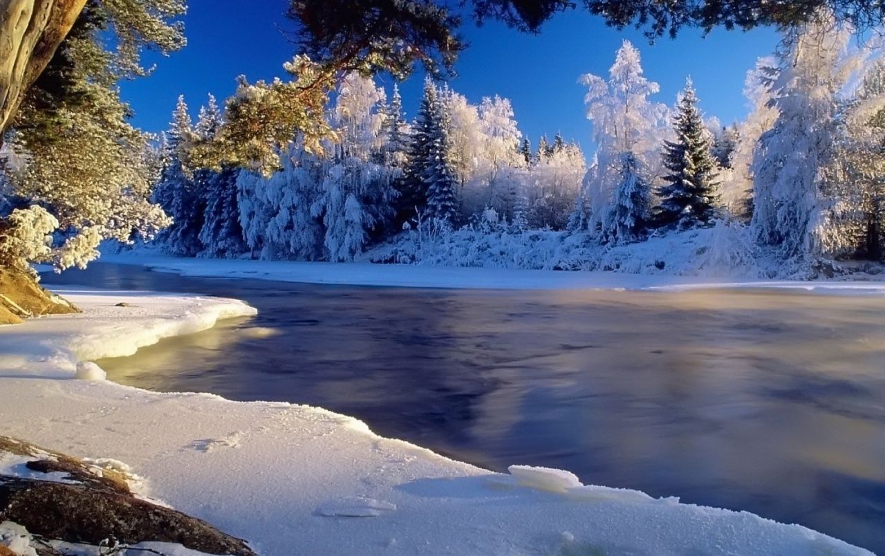 Snow Trees & Frozen River Wallpaper Scene Facebook Cover