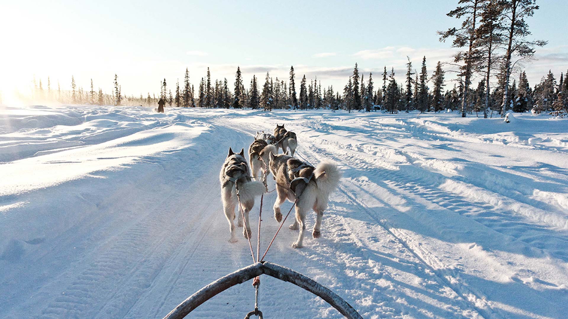 Sledding Wallpaper Free Sledding Background