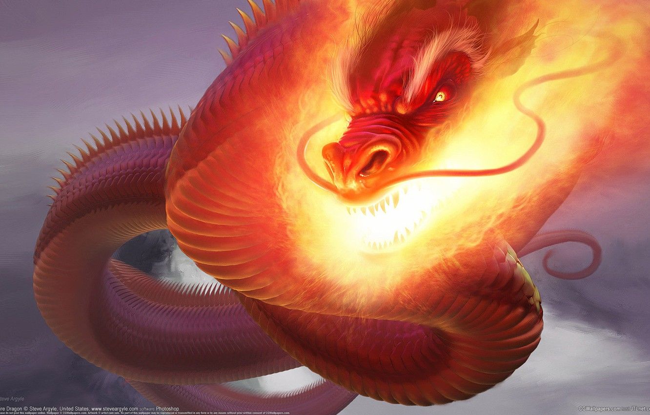 Wallpaper Dragon, Fire, CG Wallpaper, Steve Argyle, Fire Dragon, Snakes image for desktop, section фантастика