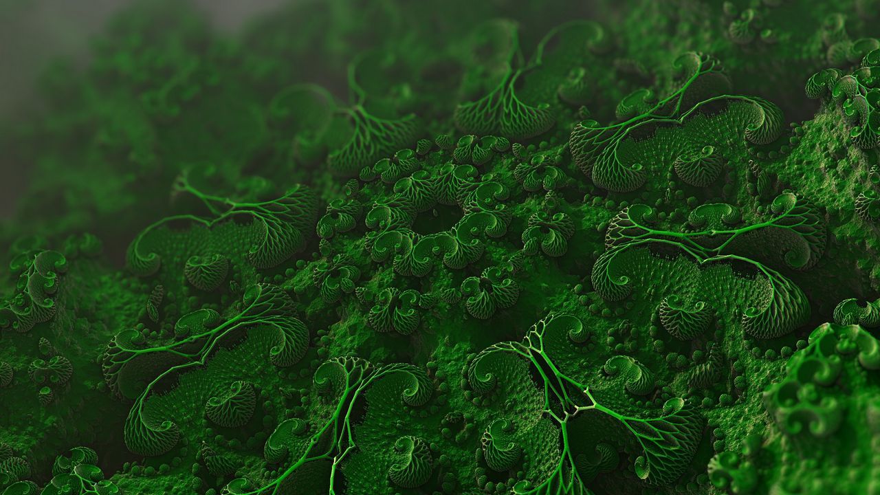 Wallpaper microorganisms, cells, microscopic, microbiology, bacteria hd, picture, image