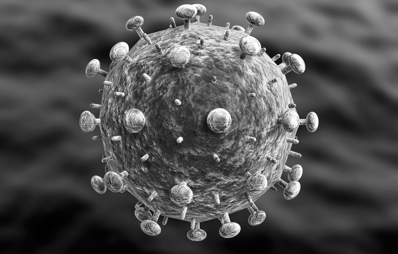 Wallpaper viruses, bacteria, microscopic image for desktop, section рендеринг