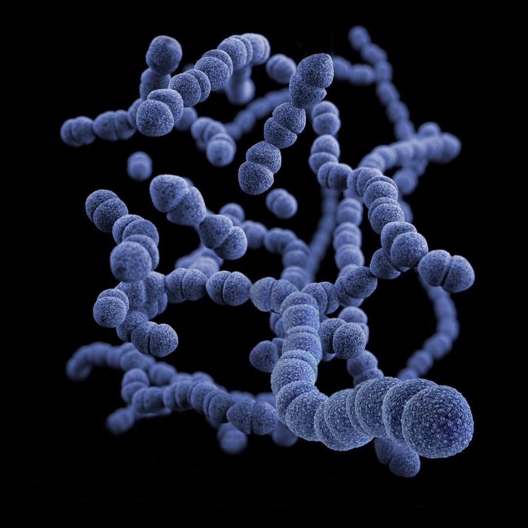 Bacteria Picture [HD]. Download Free Image