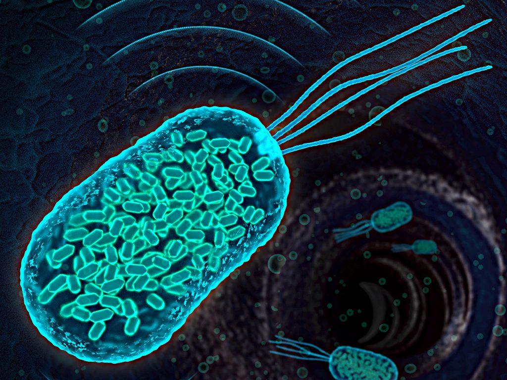 Microorganisms Monsters Illustrations Creative Market illustrations  Bacteria cartoon Illustration HD wallpaper  Pxfuel