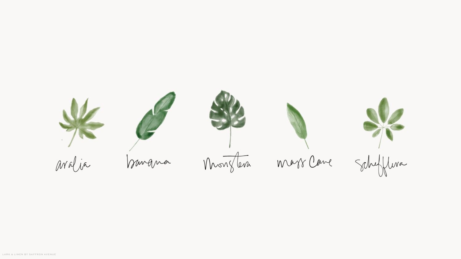 Page 6  Free and customizable plant wallpaper templates