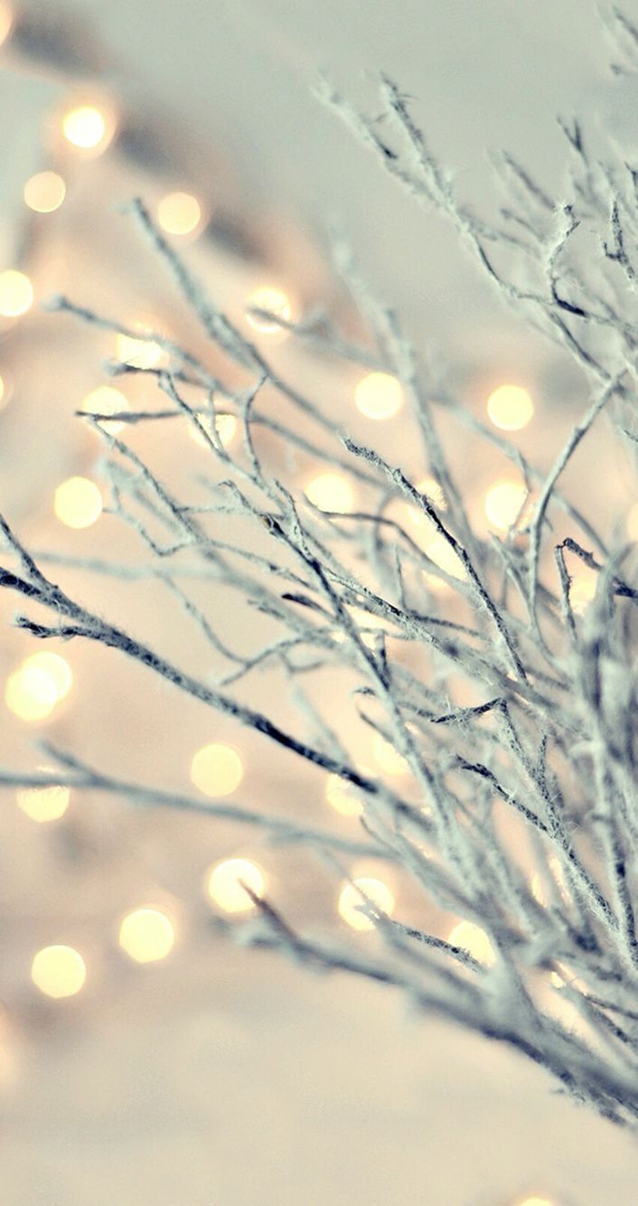 Beautiful Christmas iPhone Wallpaper Free To Download. Wallpaper iphone christmas, Winter wallpaper, Christmas wallpaper