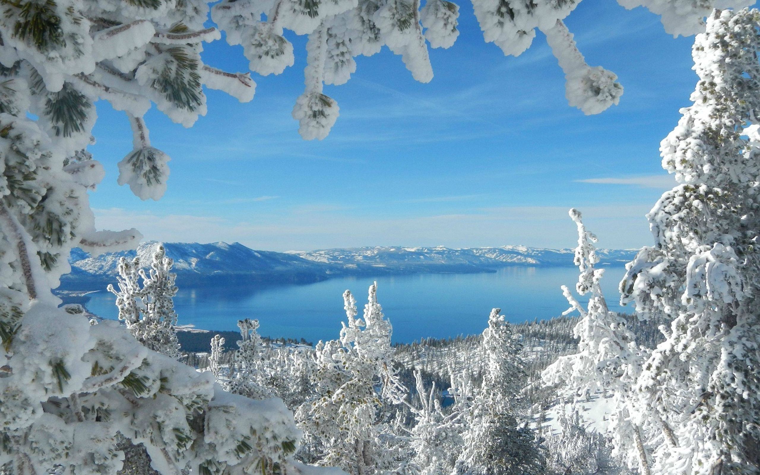 Wonderful Lake Framed By Branches In Winter Wide Wallpaper 335065, Wallpaper13.com